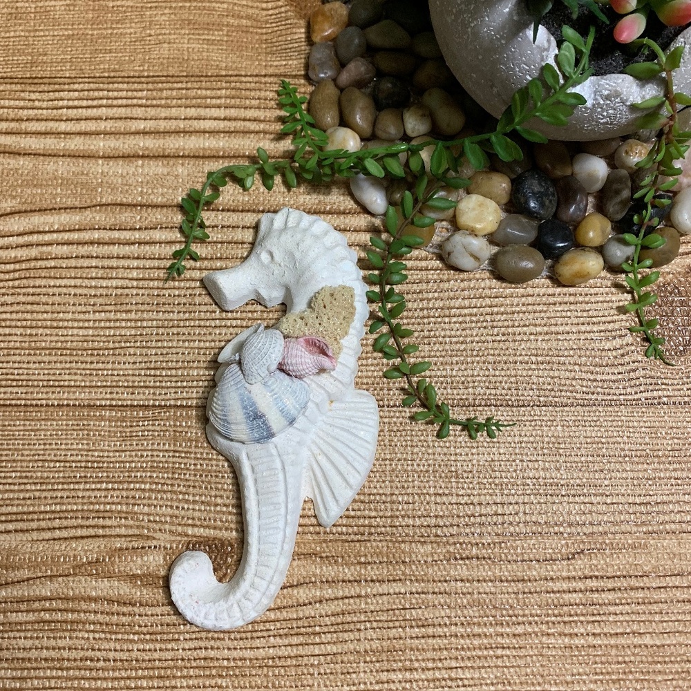 Nautical Seahorse Hook Seashell Small Wall Decor